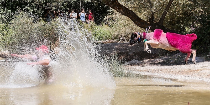 8 Asırlık Gelenek: Sudan Koyun Geçirme