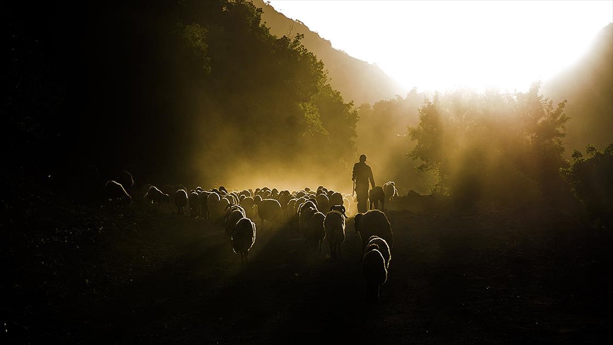 Ipard Iı Kapsamında 45 Proje 210,6 Milyon Lira Hibe Alacak