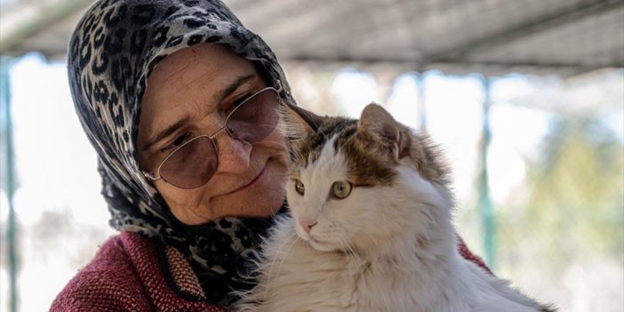 Müstakil Evinin Bir Katını Sokak Kedilerine Yuva Yaptı