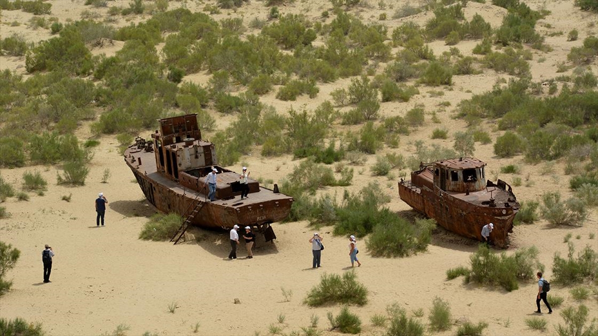 Aral Gölü'nün Kuruyan Kısmı Ağaçlandırılarak Çevre Felaketi Hafifletilmeye Çalışılıyor