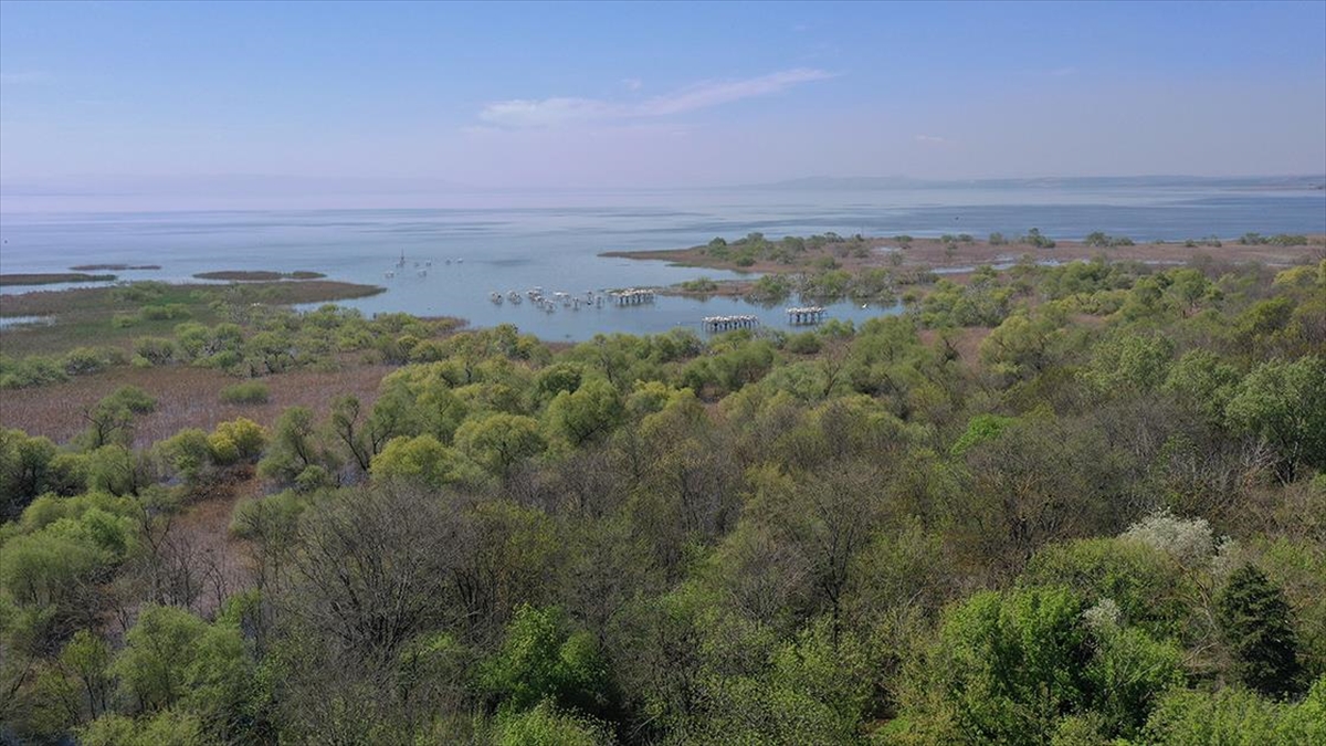 Milli Parklar Ve Tabiat Parkları Ramazan Bayramı'nda Ziyaretçilerini Bekliyor