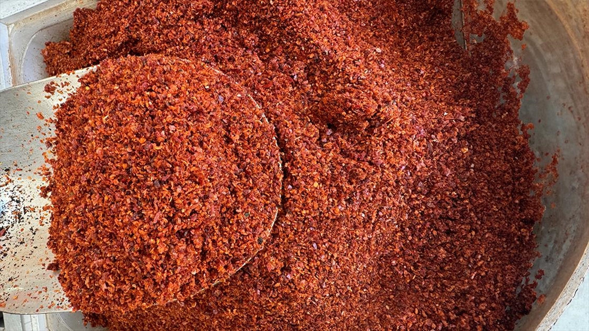 Pul Biber İhracatı Yılın İlk Çeyreğinde Yüzde 24 Arttı