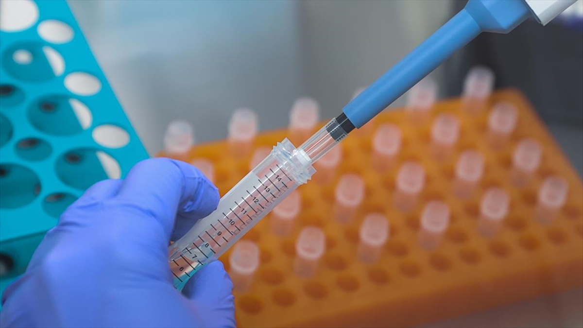 Abd, Kuzey Kore'nin Biyolojik Silah Üretilen Program Yürüttüğünü İddia Etti