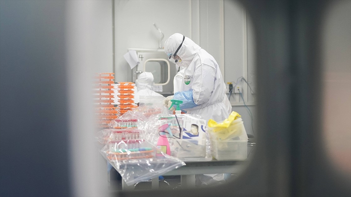 Abd, Olası Küresel Salgın Hastalıkları Önlemek İçin 50 Ülkeyle İşbirliği Yapacak