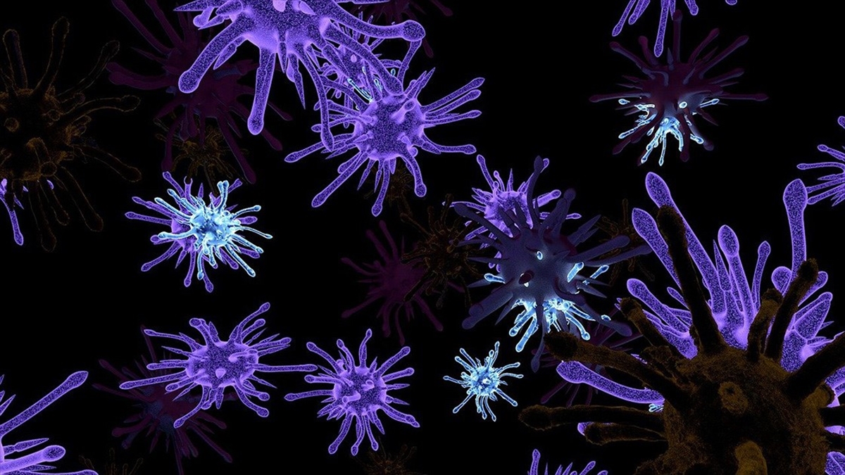 Mor Bakteriler, Bilim İnsanları İçin Dünya Dışı Yaşamın Yeni Rehberi Olabilir