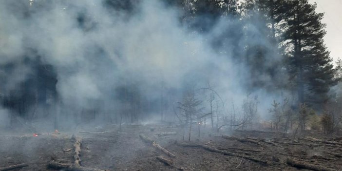 Kastamonu'da Enerji Nakil Hattından Sıçrayan Kıvılcım Ormanda Yangına Neden Oldu