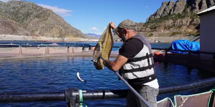 800 bin hibe desteği ile kurulan işletme rekora gidiyor