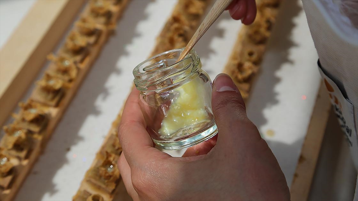 Arı Sütü Ve Poleni Gibi Ürünlere Dışarıdan Herhangi Bir Madde Eklenemeyecek