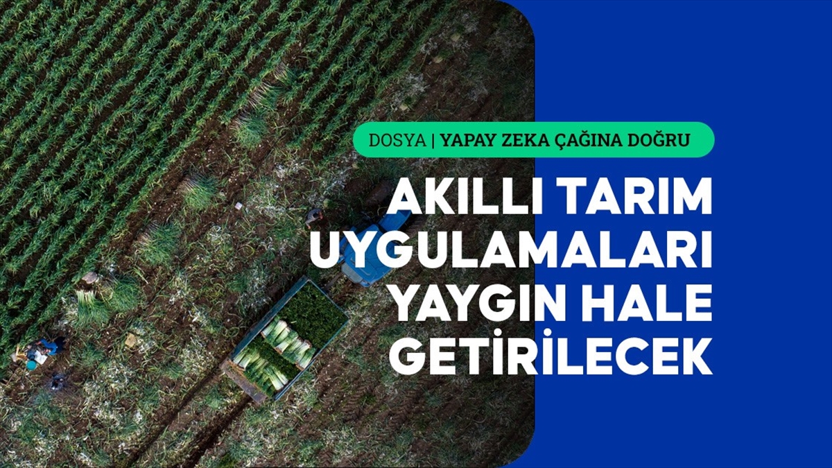 Tarımsal Üretimde Yapay Zeka Desteği Artırılacak