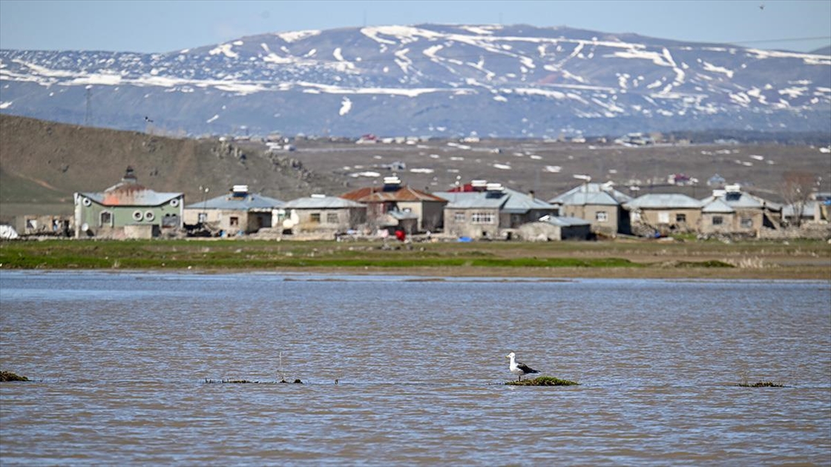 Van'da Karların Erimesiyle Çaldıran Ovası'nda Araziler Su Altında Kaldı