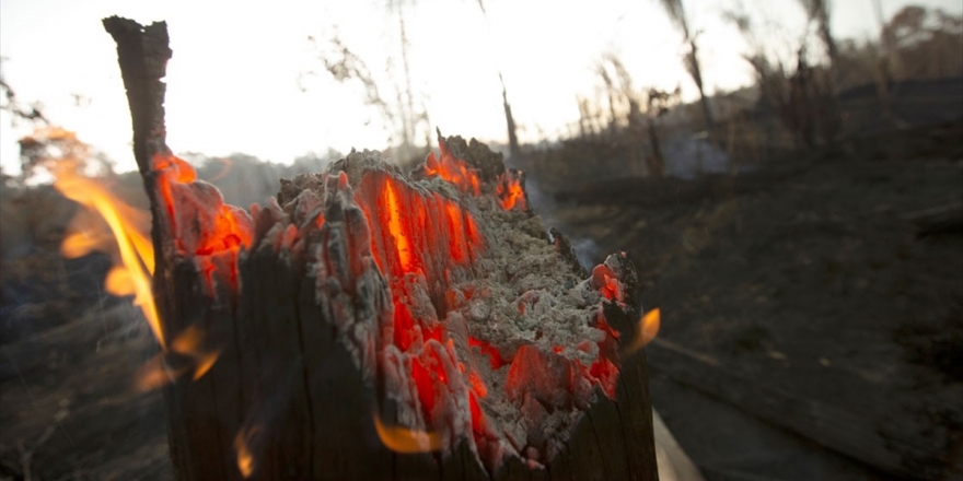 Bolivya'da Yangınlar 950 Bin Hektar Alanı Kül Etti