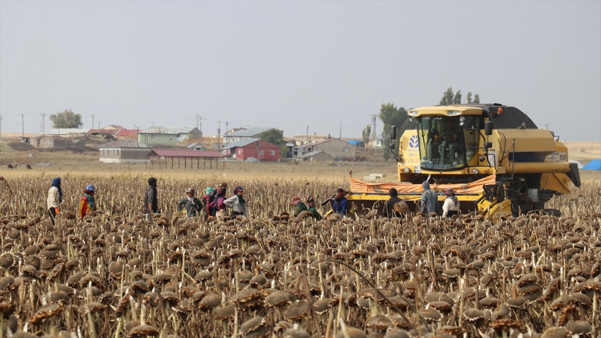 Mevsimlik Tarım İşçilerine Yönelik Cumhurbaşkanlığı Genelgesi Resmi Gazete'de Yayımlandı