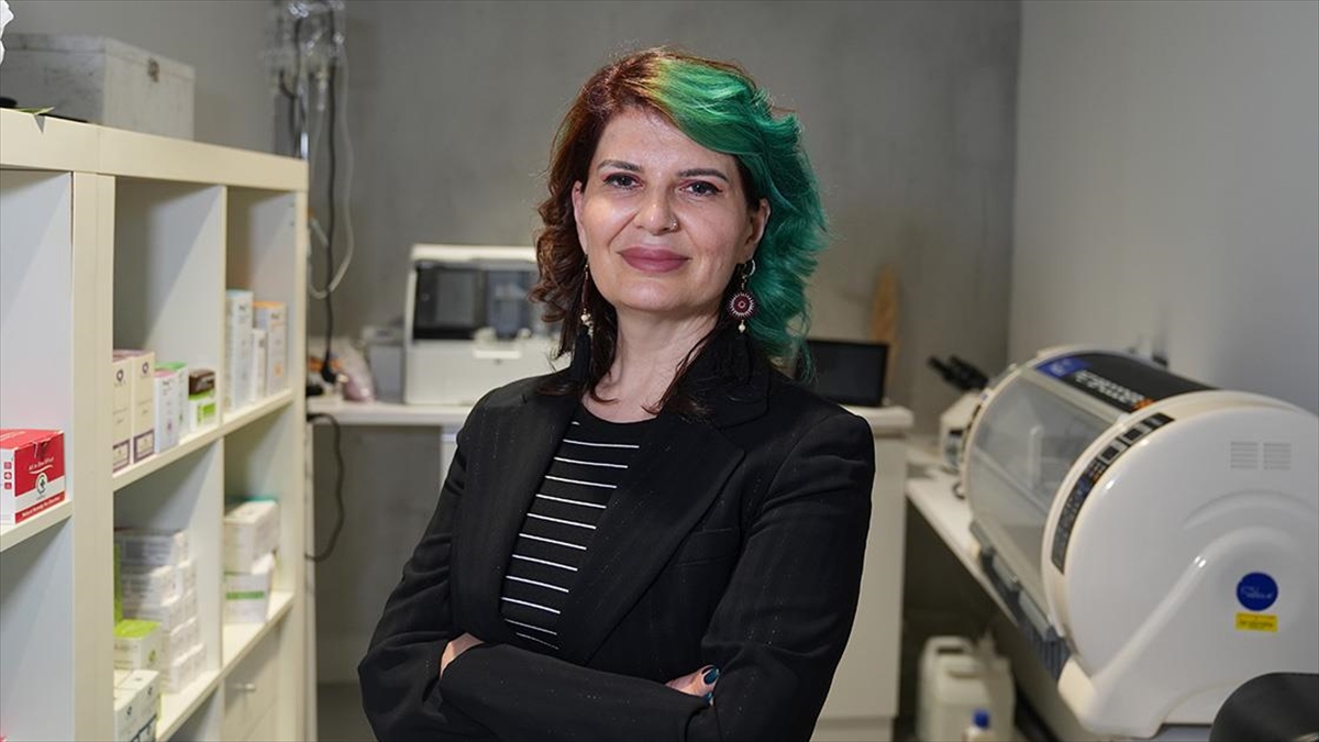 Evcil Hayvanlarda Yaşam Süresinin Uzamasıyla Kanser Vakalarına Daha Sık Rastlanıyor