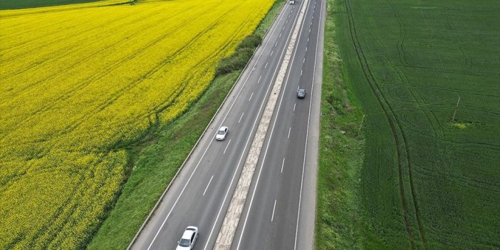 Tekirdağ'da Kanola Ve Buğday Tarlaları Sürücülere Renkli Rota Sunuyor