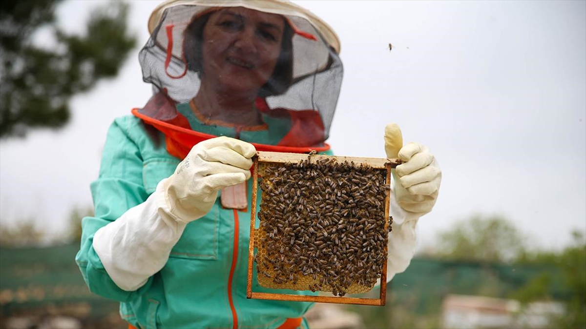 Siparişlere Yetişemeyen Kadın Arıcı Çözümü "Sözleşmeli Arıcılık"ta Buldu