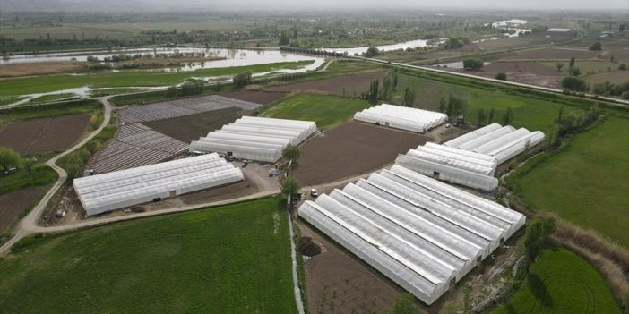 Erzincan'da Yeni Yatırımlarla Sera Varlığı 1000 Dönümü Aşacak