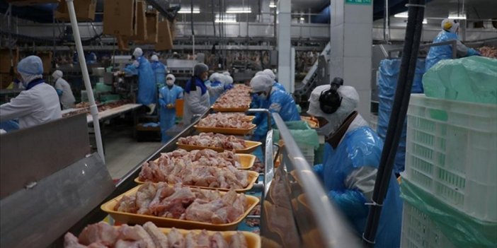 Beş Yılda Üretilen Kanatlı Etinin Yaklaşık 4'te 1'i İhraç Edildi