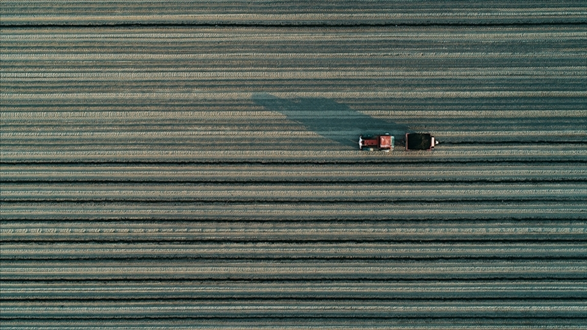 Çiftçilere Bugün Tarımsal Destekleme Ödemesi Yapılacak