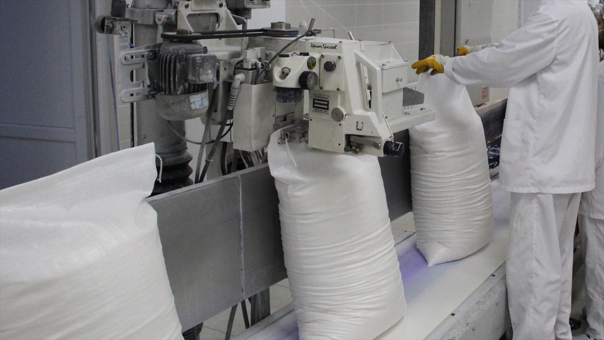 Rusya Şeker İhracatını Yasakladı