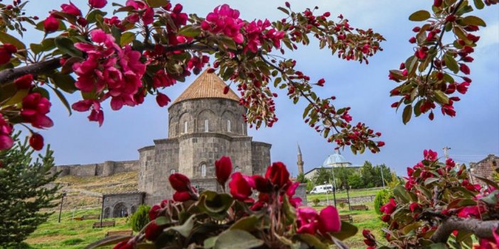 Bahar Çiçekleri Doğaya Renk Kattı