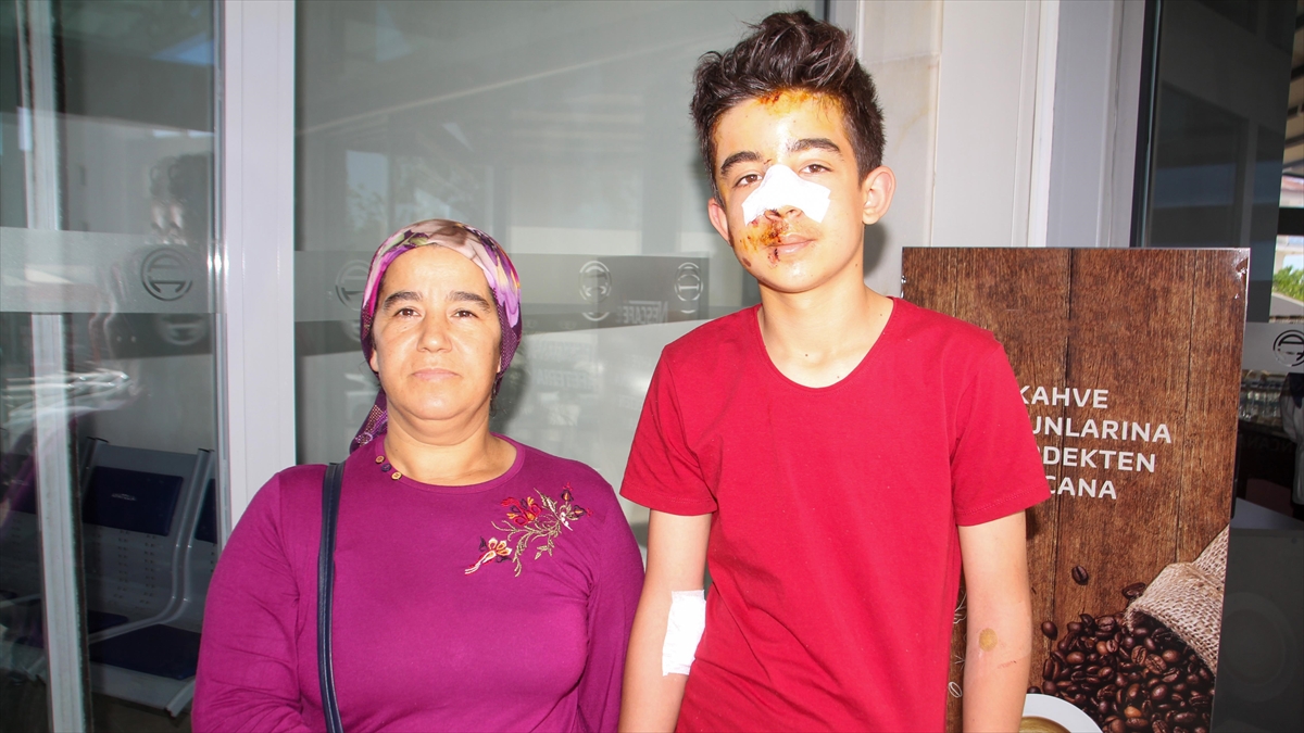 Antalya'da Sahipsiz Köpeklerden Kaçarken Otomobil Çarpan Genç Yaralandı