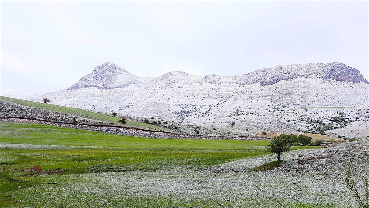 Bayburt, Gümüşhane Ve Ordu'nun Yüksek Kesimlerinde Kar Etkili Oldu