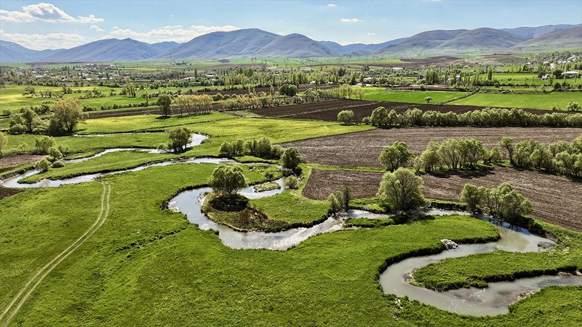 Kayseri'de Menderesler Tarım Ve Hayvancılığa Hayat Veriyor