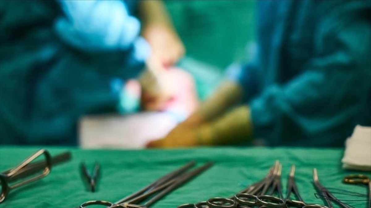 Abd'de, Domuz Böbreği Nakledilen İlk Hasta Hayatını Kaybetti