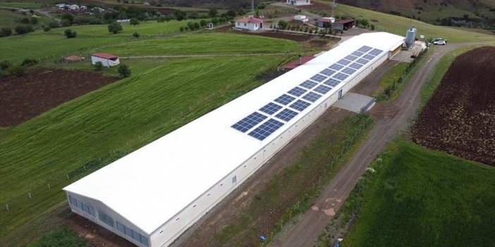 Gurbetten Geldiği Köyüne Can Verdi