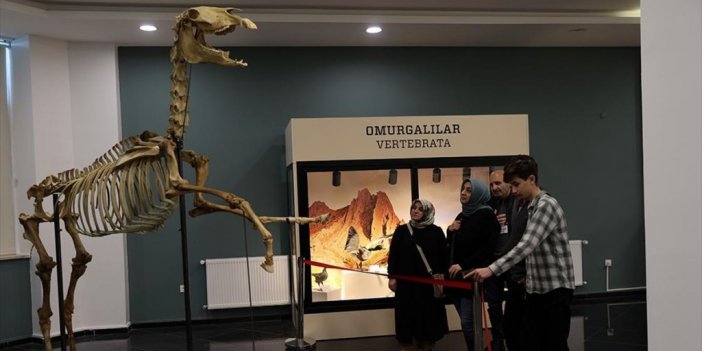 Sivas'taki Müzede Tabiat Tarihi 3 Bin Örnekle Anlatılıyor