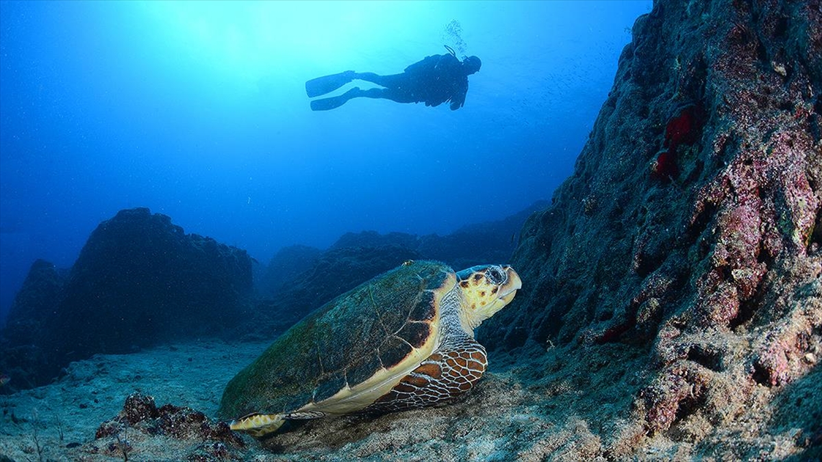 Dalyan Kanalı Havadan Ve Su Altından Görüntülendi