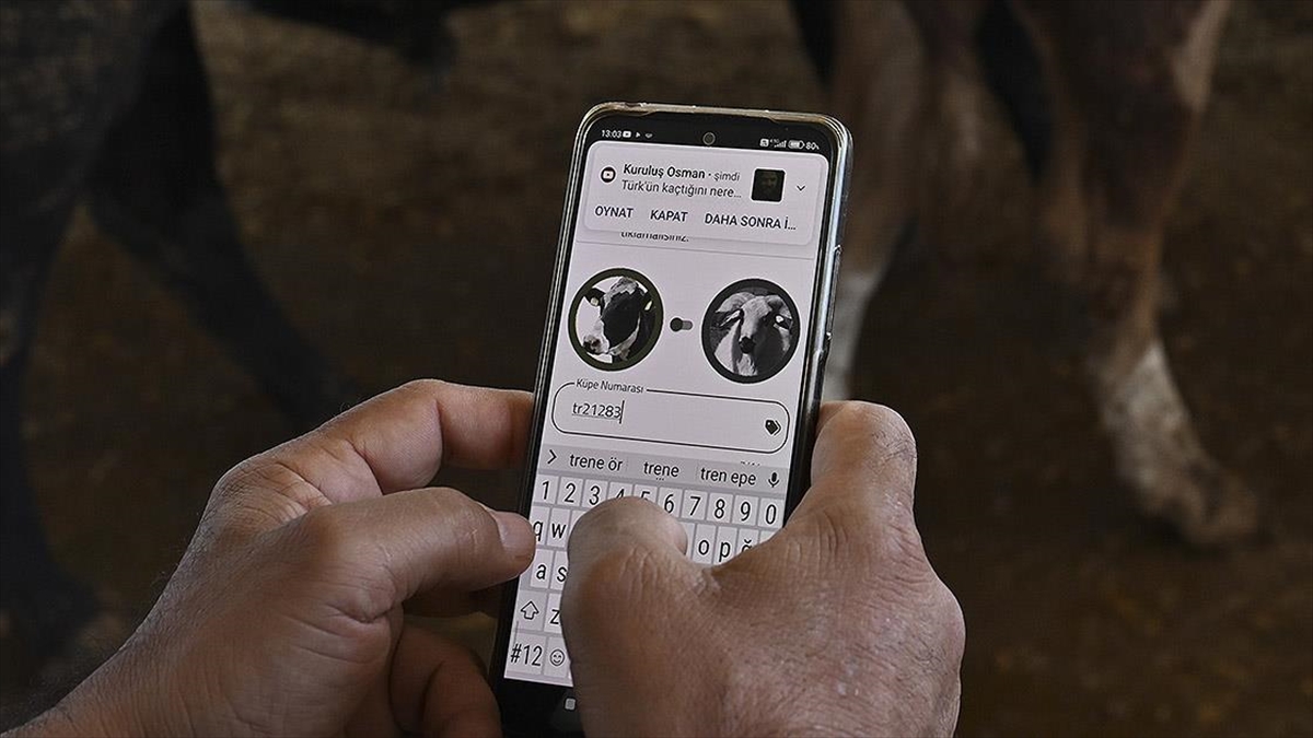 "Tarım Cebimde" Uygulamasıyla Kurbanlık Bilgilerine Ulaşılabiliyor