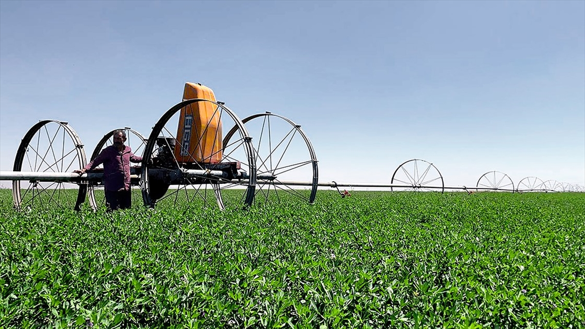 Kırsal Kalkınma Yatırımlarının Desteklenmesi Programı İle 11,4 Milyar Liralık Yatırım Yapıldı