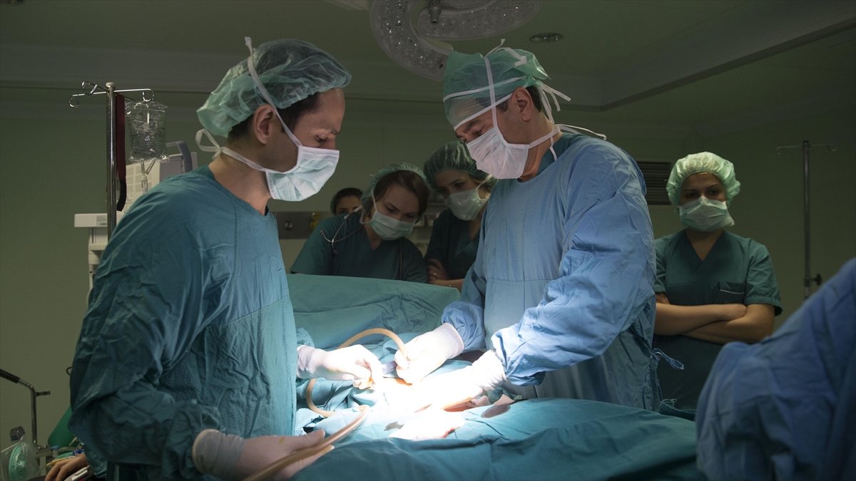 Tek Seferde Yapılan Obezite Ve Rahim Duvarı Kanseri Ameliyatı, Dünya Literatüründe