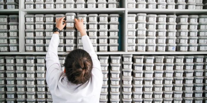 Türkiye'de 6 İlin Toprak Kapasitesi 5 Bin 78 Noktadan Alınan Numunelerle Belirlendi