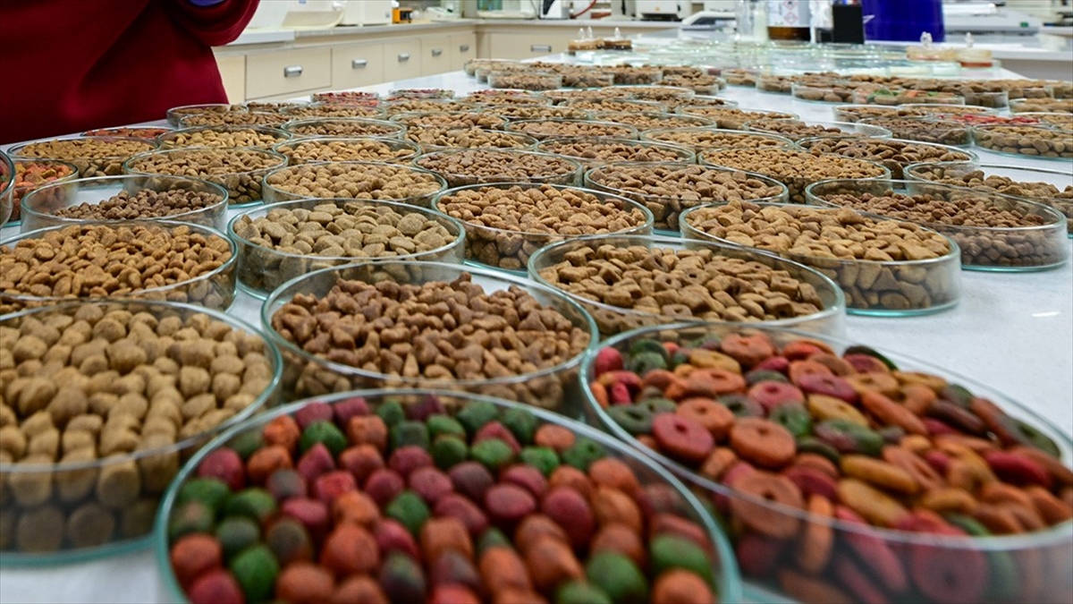 "yemek Artıklarının" Yerini Ticari Hayvan Mamaları Aldı