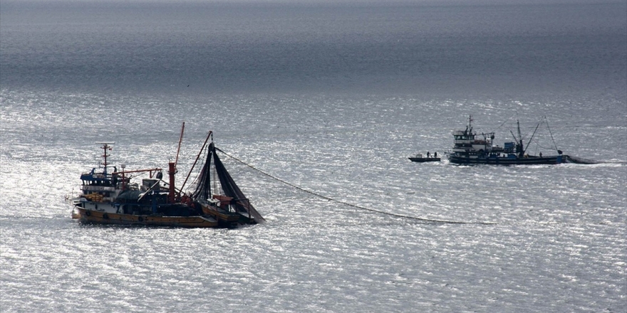 Su Ürünleri Av Sezonu Açılıyor