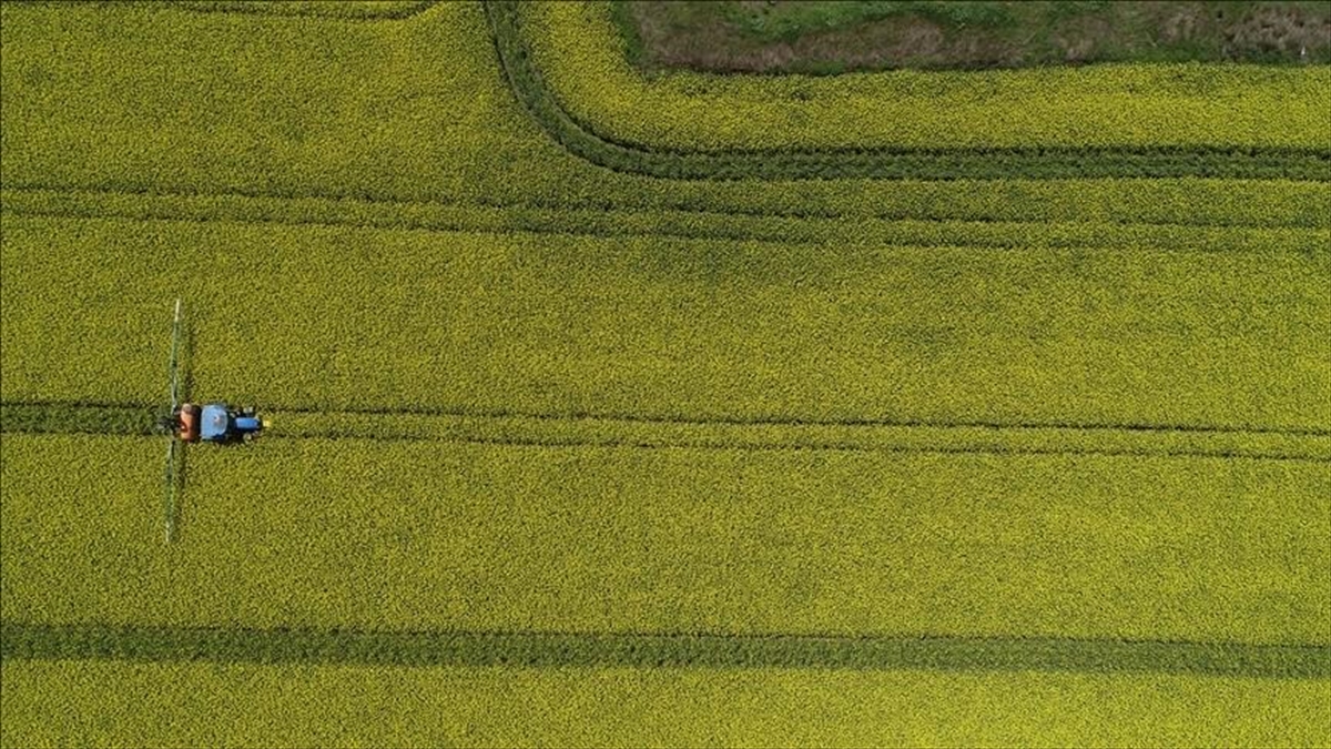 Türkiye, 6 Tarım Ürününün Üretiminde, 5 Ürünün İhracatında Dünya Lideri