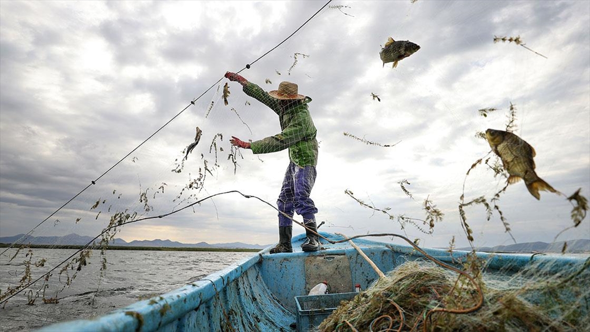 Su Ürünleri Üretiminde Cumhuriyet Tarihi Rekoru