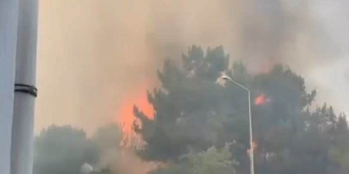 Antalya'da orman yangını