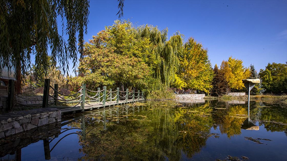 Türk Üniversiteleri, Yeşil Kampüsleriyle Dünyanın En Çevreci Üniversiteleri Arasında