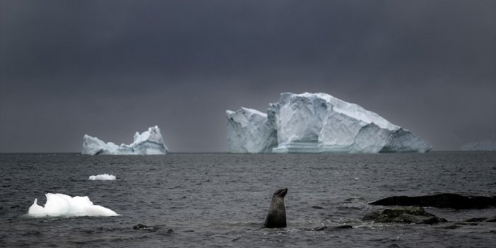 Isınan Okyanus Suyu Kıyamet Buzulunu Daha Hızlı Eritiyor