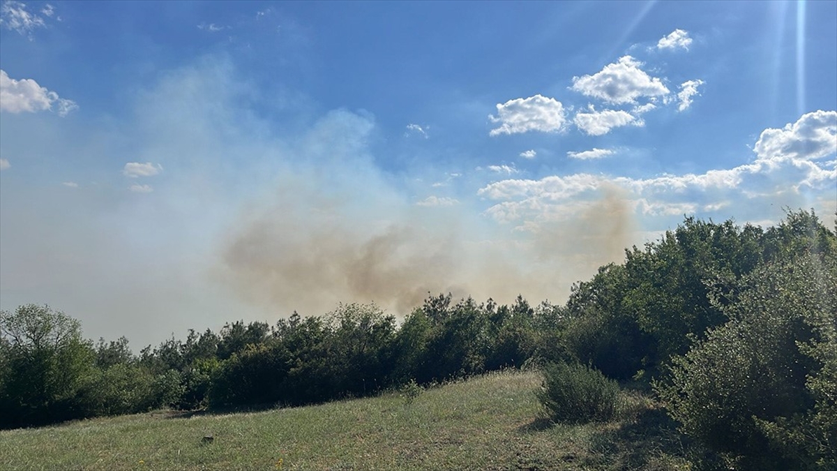 Tokat'ta Ormanlık Alanda Çıkan Yangın Kontrol Altına Alınmaya Çalışılıyor