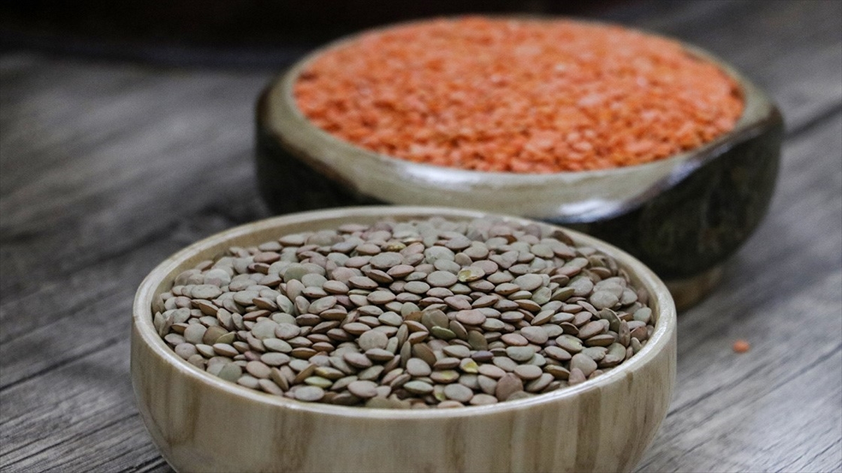 Güneydoğu'dan 5 Ayda 1,4 Milyar Dolarlık Hububat Ve Bakliyat İhracatı