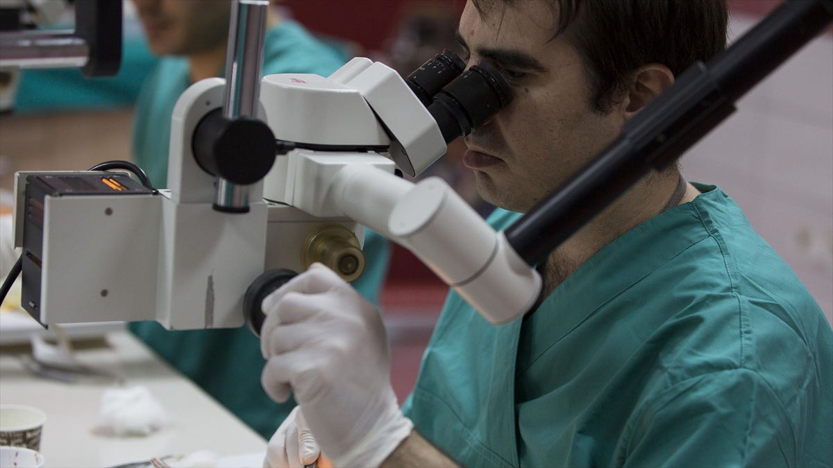 Küçük Hücreli Akciğer Kanserinde 20 Yıl Sonra Umut Işığı