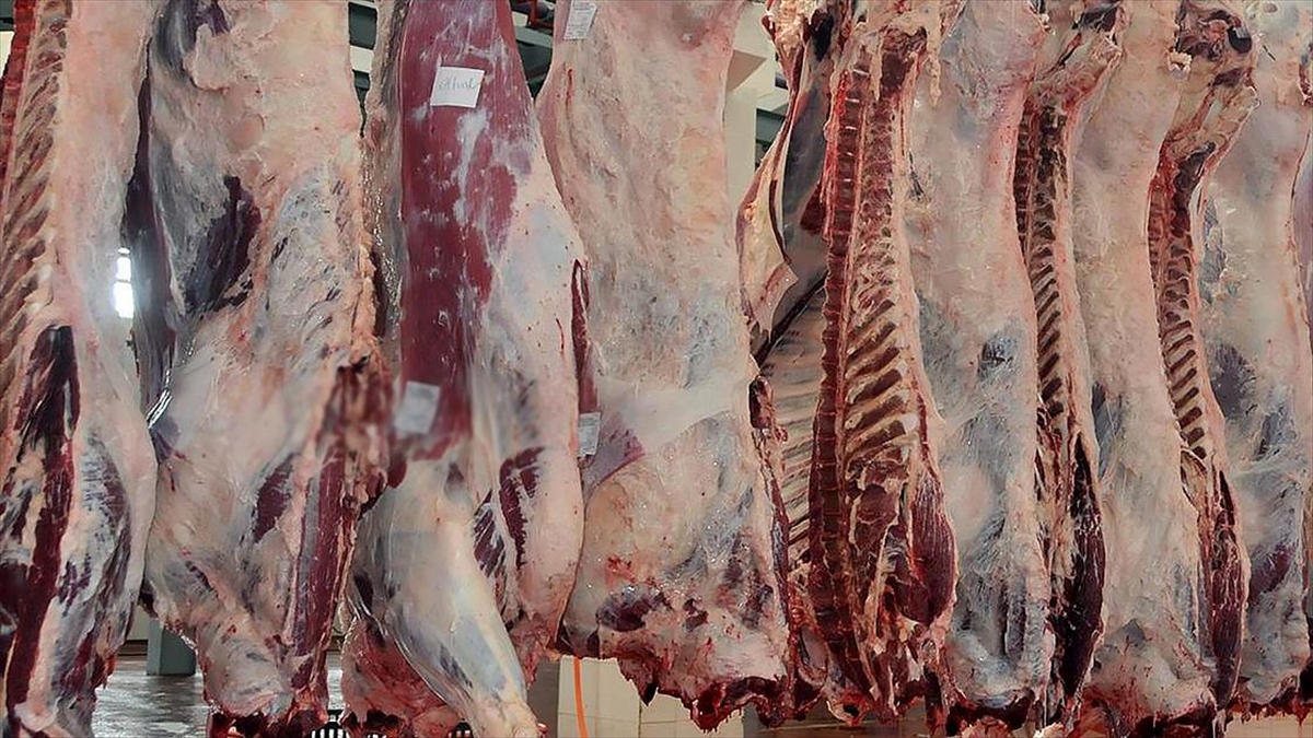 Kurban Etlerinin Bozulmaması İçin Soğuması Beklenmeli