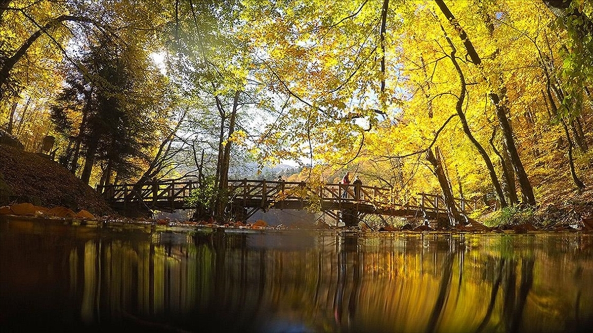 Milli Parklar Ve Tabiat Parkları Kurban Bayramı İçin Hazır