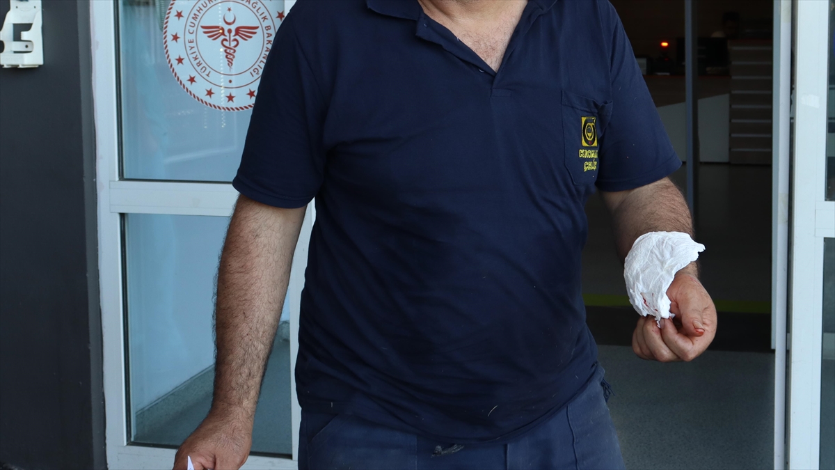 Sağlık Bakanlığı, Kurban Bayramı'nda Acil Sağlık Hizmetlerinin Aksamaması İçin Tedbir Aldı