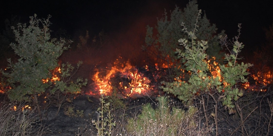 Tekirdağ'da Orman Yangını