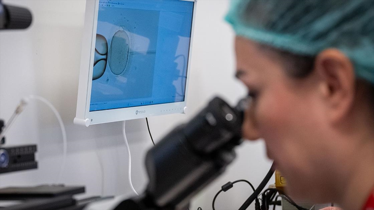 Devlet Destekli Tüp Bebek Tedavisi Bir Ayda 2 Bin Kişiye Umut Oldu